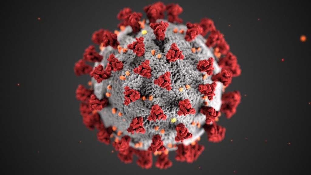 AI used to predict corona virus outbreaks