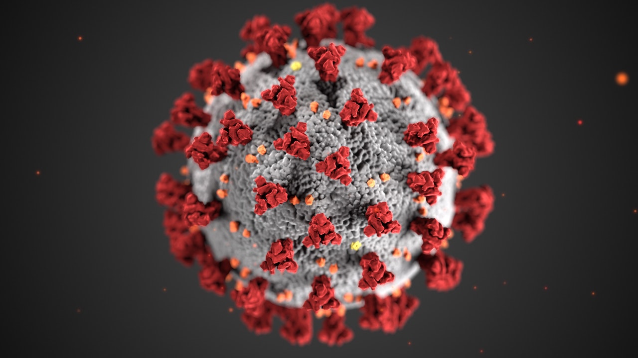 AI used to predict corona virus outbreaks